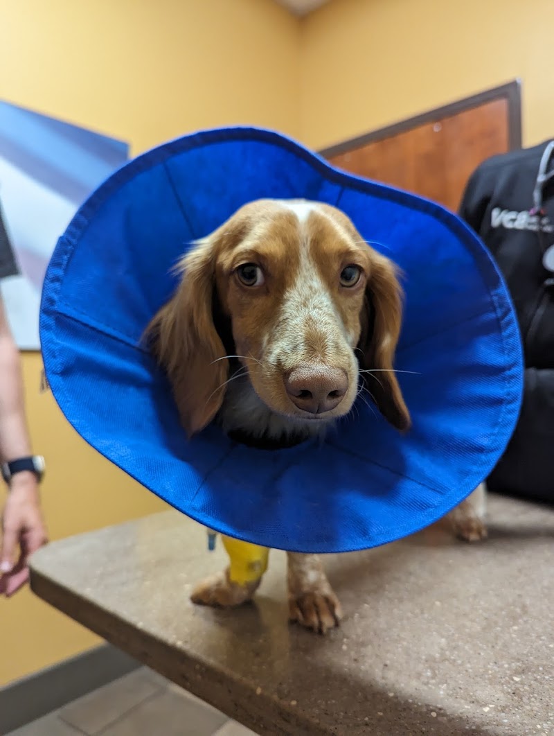 VCA PetCare East Veterinary Hospital
