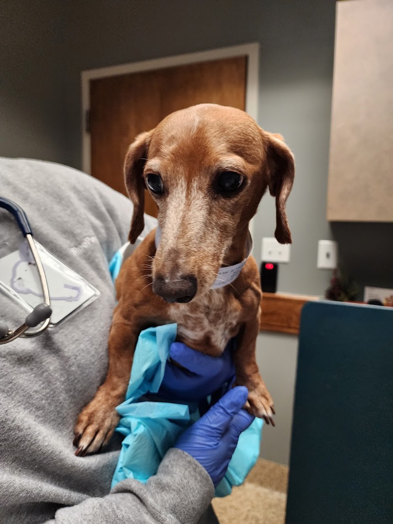 BluePearl Pet Hospital
