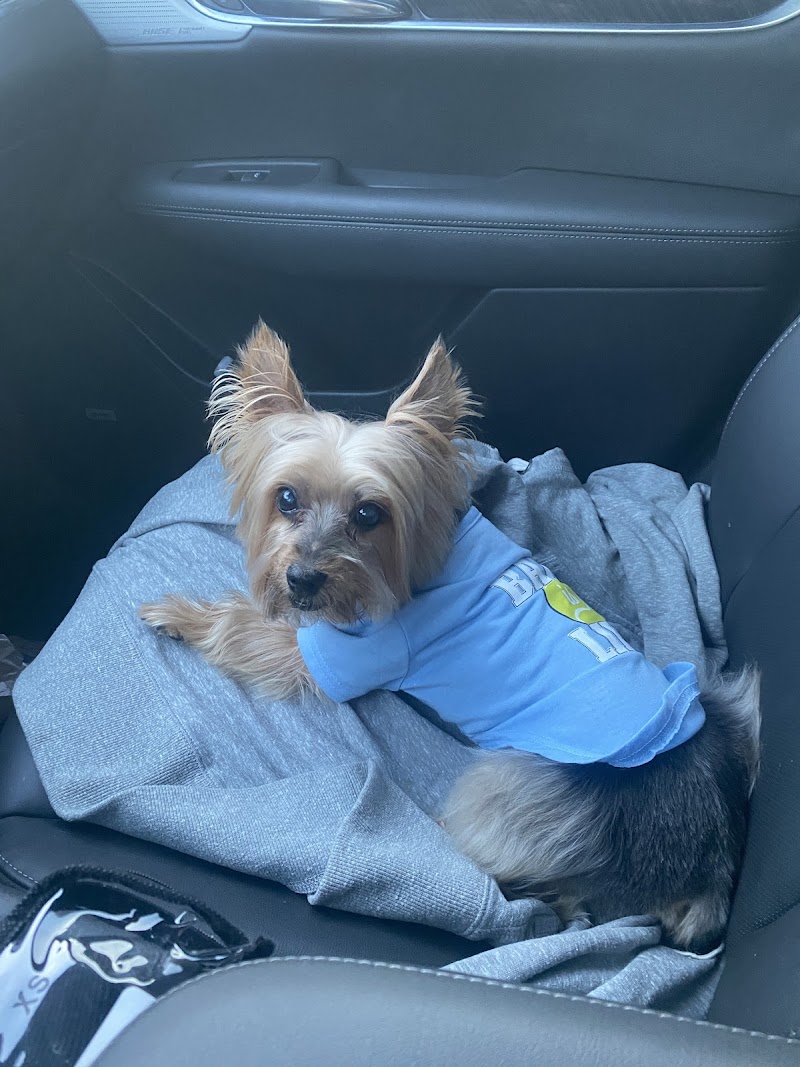 BluePearl Pet Hospital