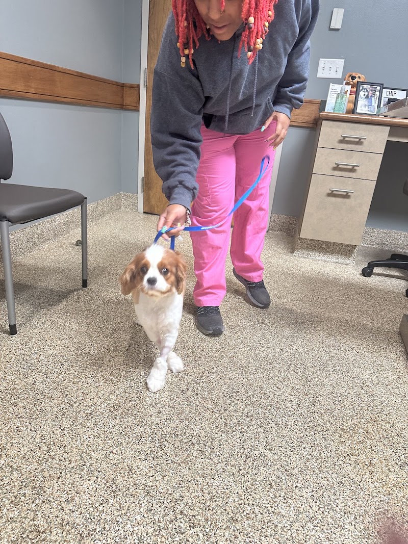 BluePearl Pet Hospital