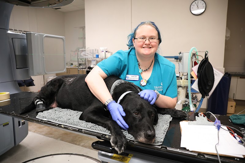 BluePearl Pet Hospital