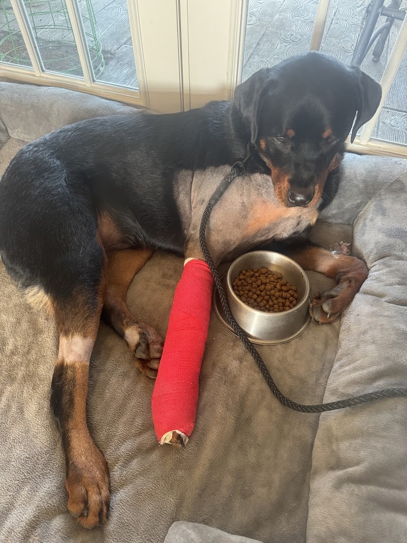 BluePearl Pet Hospital