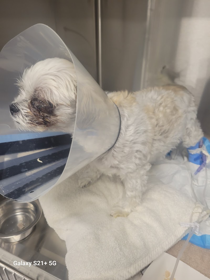 Veterinary Medical Center of Long Island