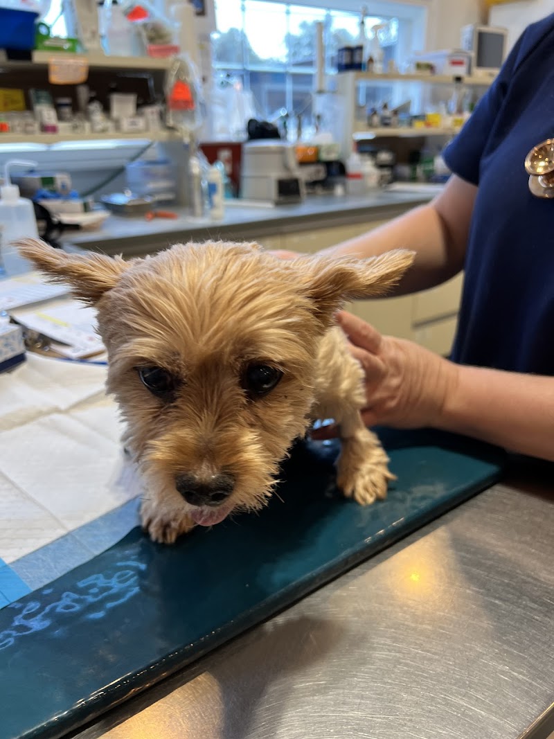 Veterinary Medical Center of Long Island