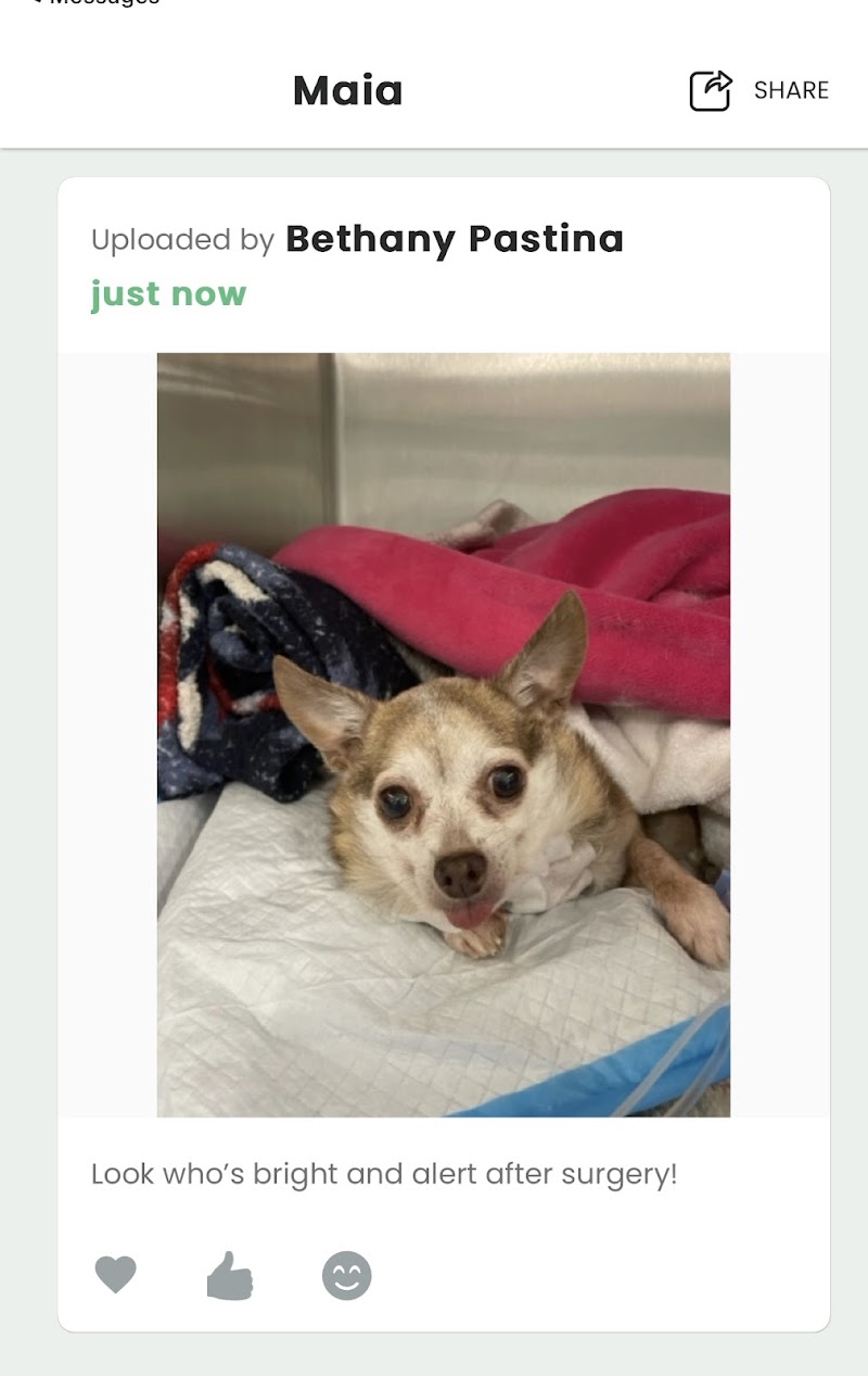 Veterinary Medical Center of Long Island