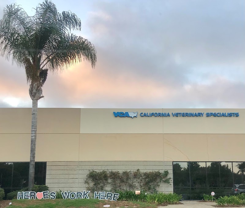 VCA California Veterinary Specialists-Carlsbad
