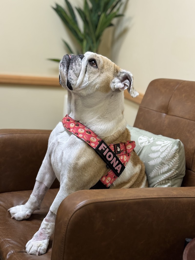 VCA California Veterinary Specialists-Carlsbad