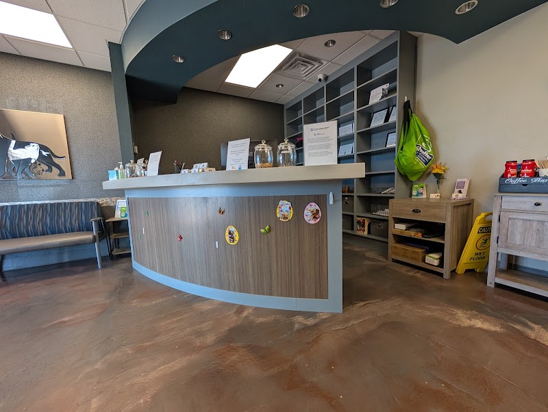 Southwest Veterinary Oncology