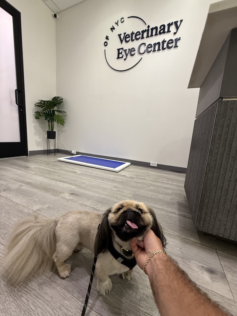 Veterinary Eye Center of New York City (Hell's Kitchen)