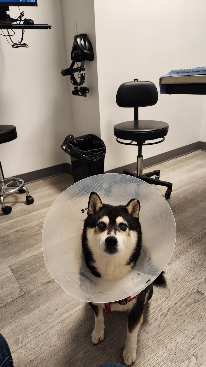 Veterinary Eye Center of New York City (Hell's Kitchen)