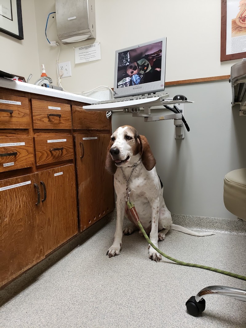 West Valley Pet Clinic