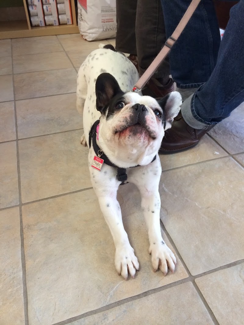Seven Hills Veterinary Hospital