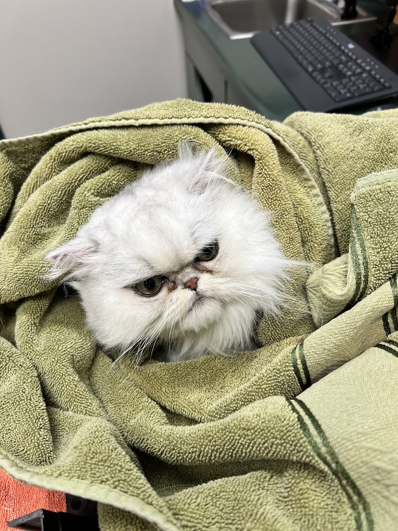 Apple Tree Cove Animal Hospital