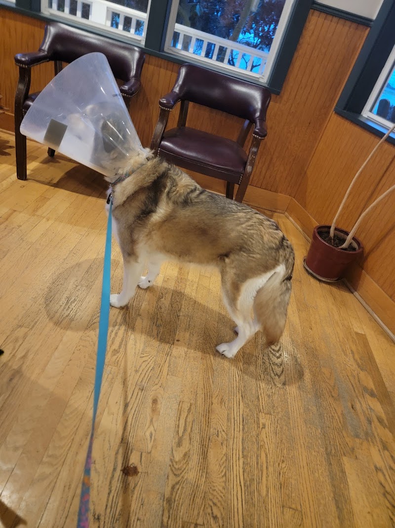 Apple Tree Cove Animal Hospital