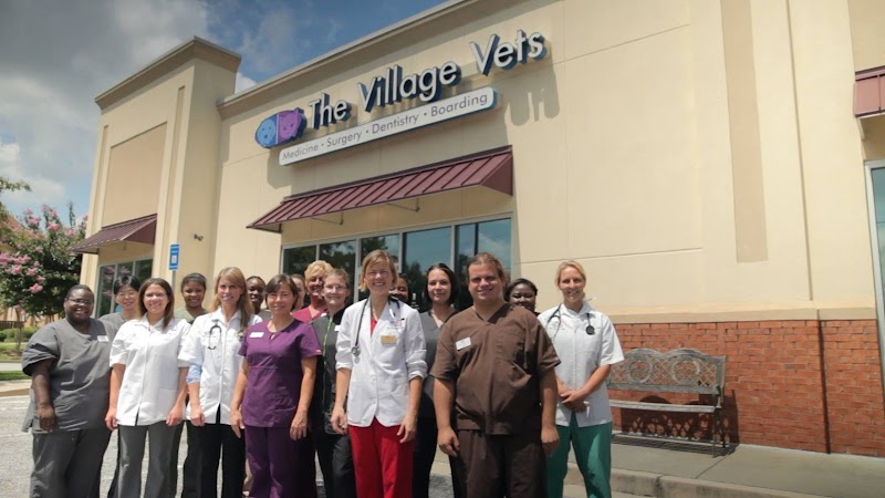 The Village Vets