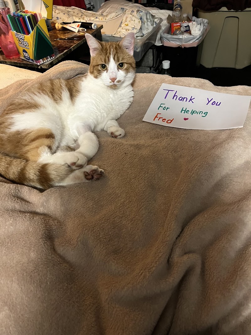 Pet Emergency Treatment and Specialties