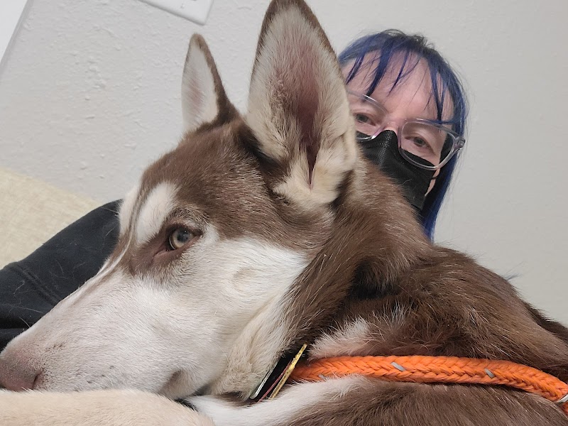 Best Friends Animal Dentistry