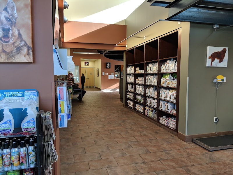 VCA South Shore Weymouth Animal Hospital