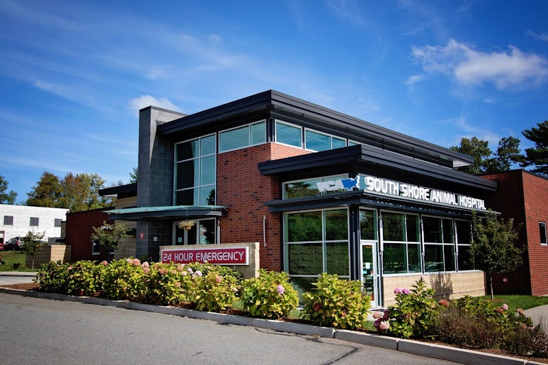 VCA South Shore Weymouth Animal Hospital