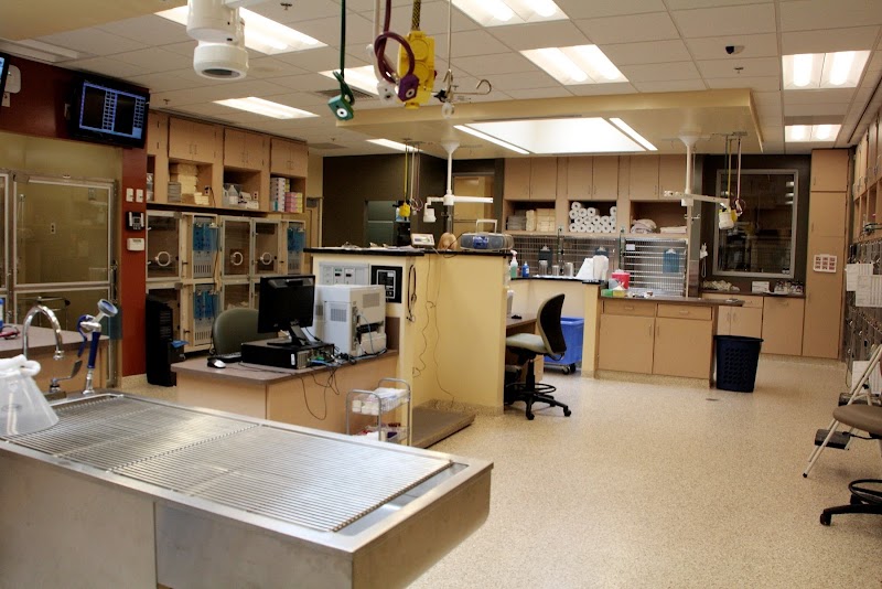 VCA South Shore Weymouth Animal Hospital