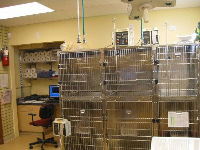 VCA Anderson Animal Hospital