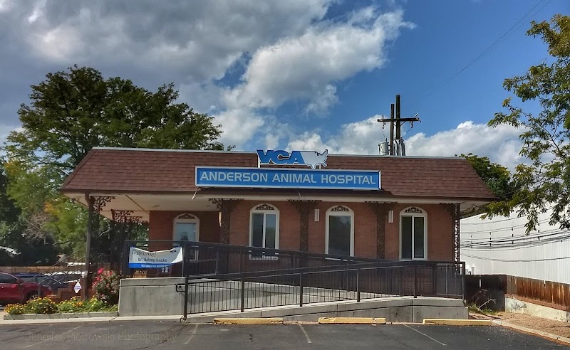 VCA Anderson Animal Hospital
