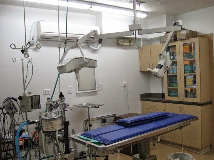VCA Anderson Animal Hospital
