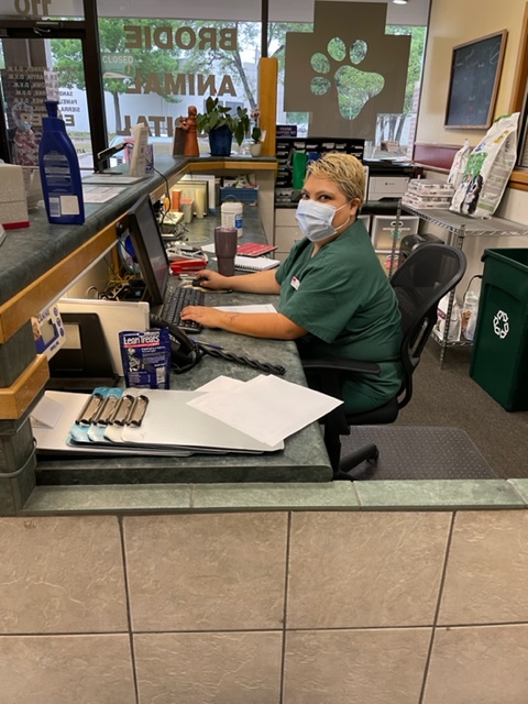 Brodie Animal Hospital