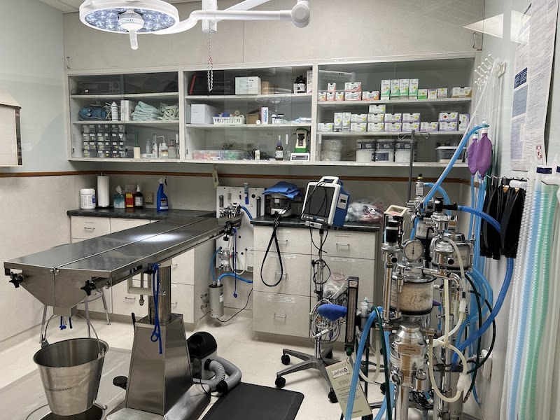 Brodie Animal Hospital
