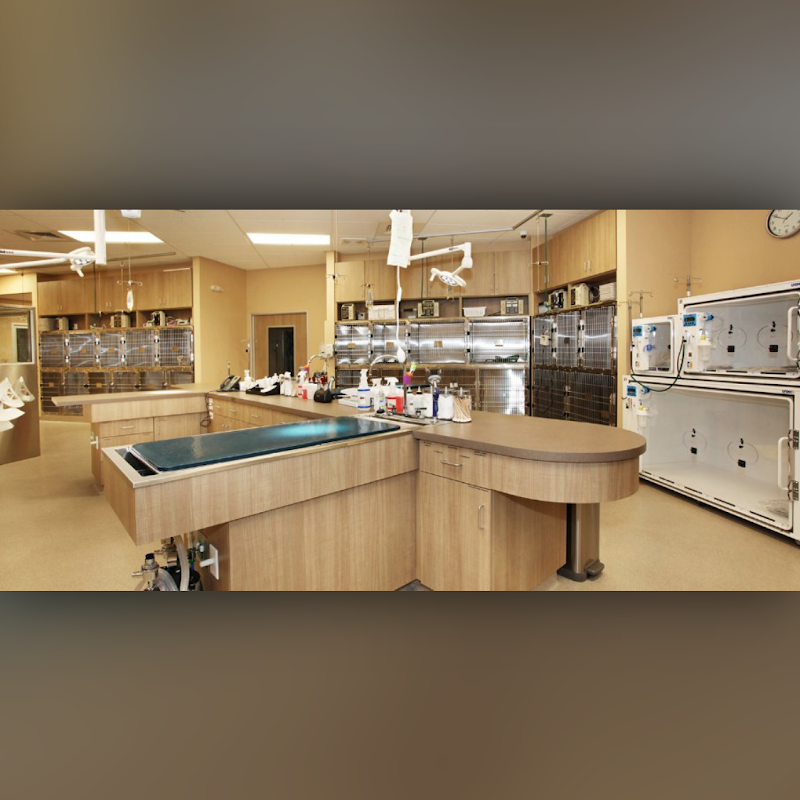 BrightCare Veterinary Group - Animal Neurology & Imaging