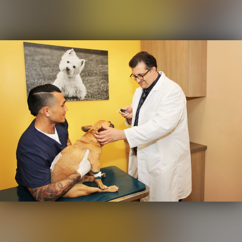 BrightCare Veterinary Group - Animal Neurology & Imaging