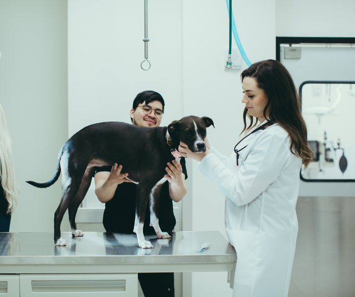 Pure Paws Veterinary Care of Hudson Square
