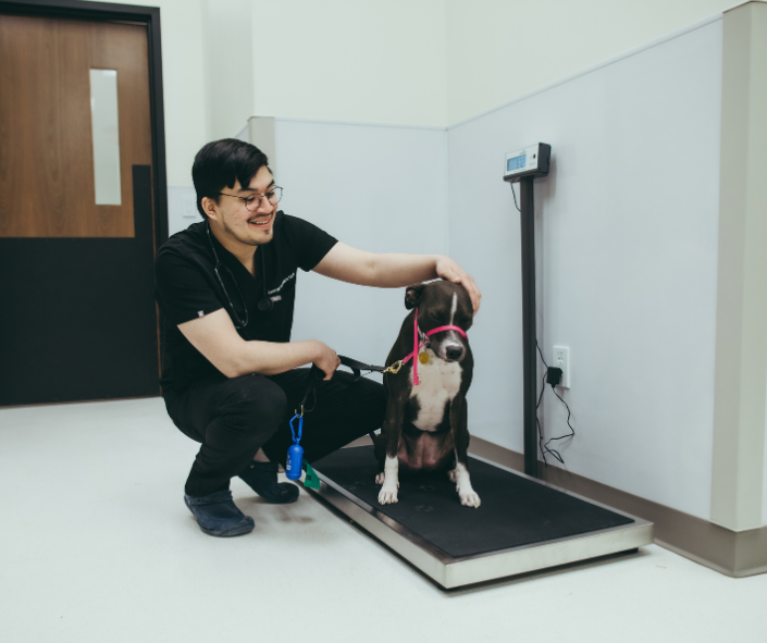 Pure Paws Veterinary Care of Hudson Square