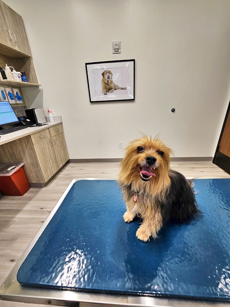Pure Paws Veterinary Care of Hudson Square
