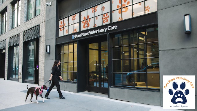 Pure Paws Veterinary Care of Hudson Square