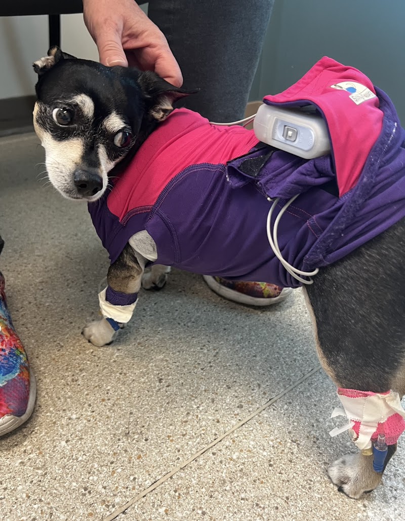 VetMED Emergency & Specialty Veterinary Hospital