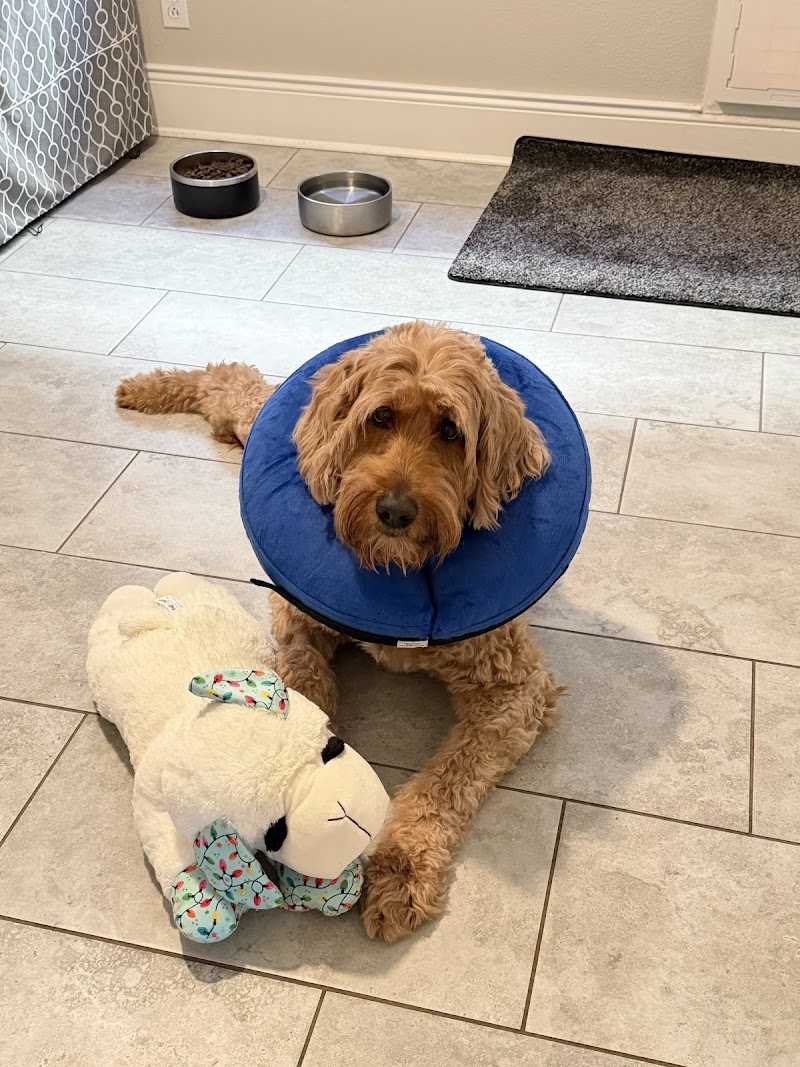 VetMED Emergency & Specialty Veterinary Hospital