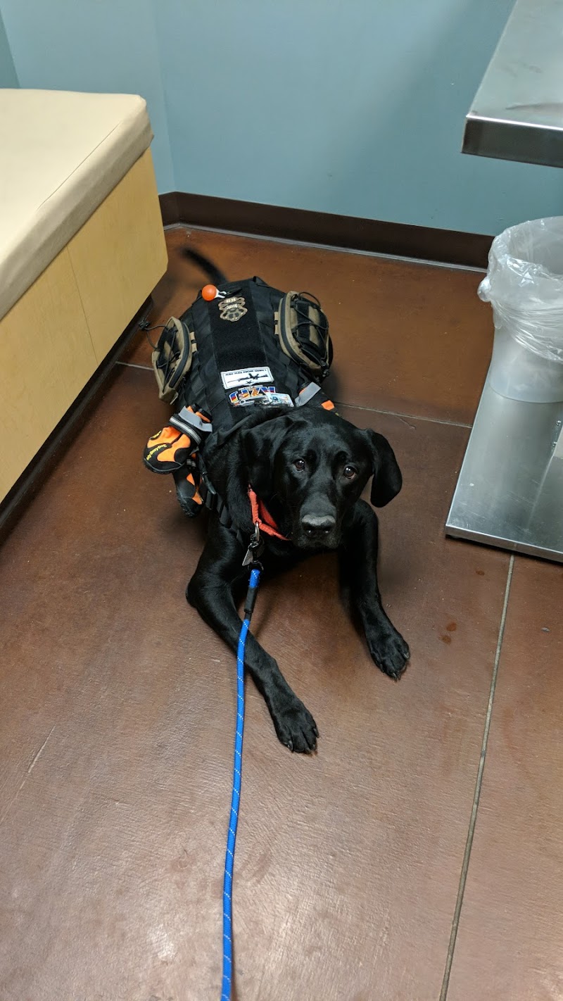 VetMED Emergency & Specialty Veterinary Hospital