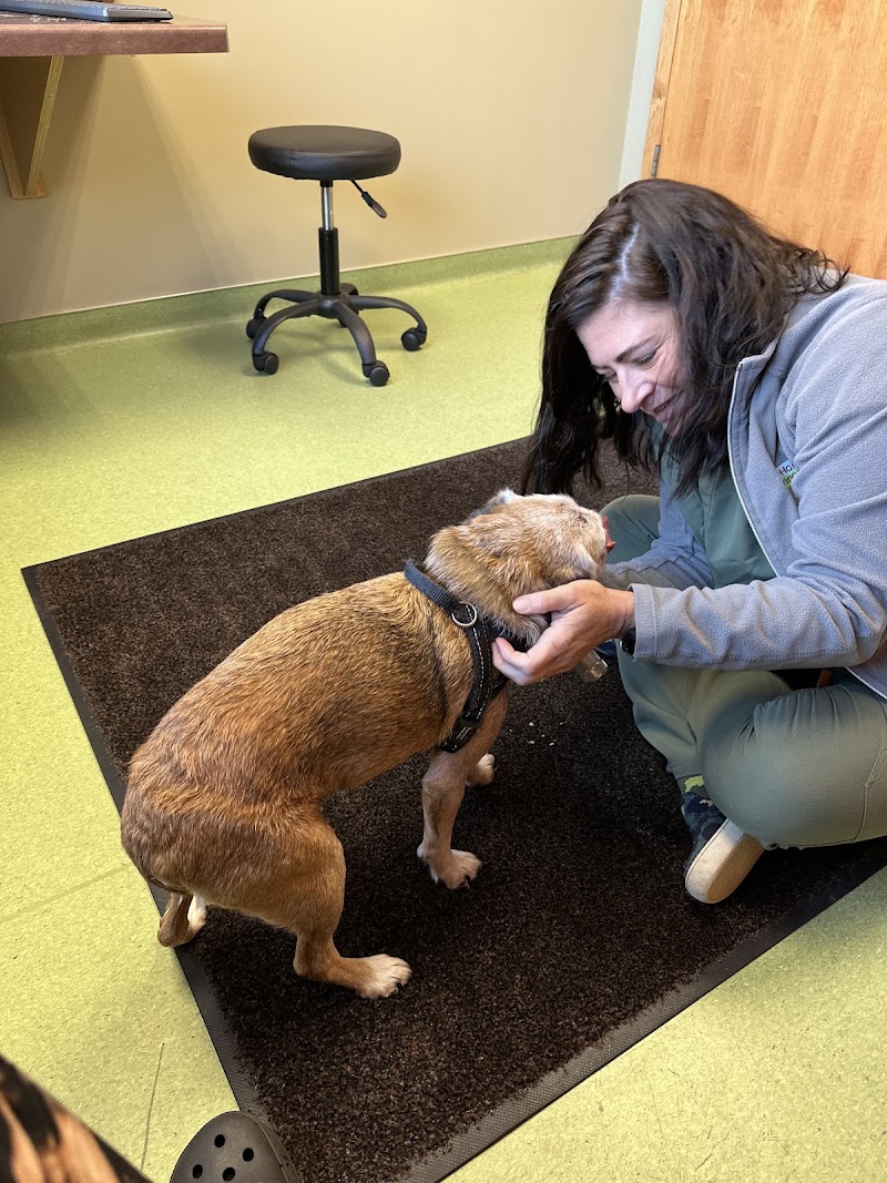 Lake Harriet Veterinary