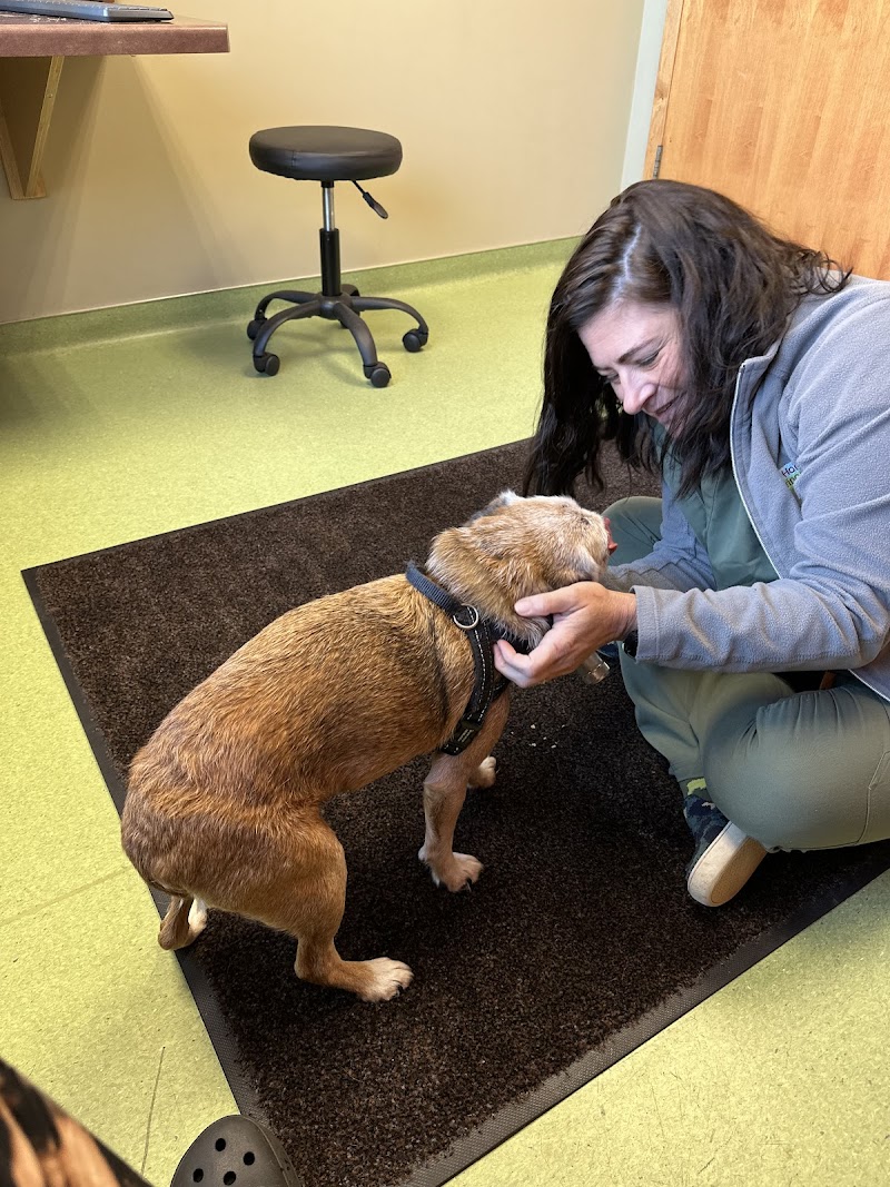 Lake Harriet Veterinary - Minneapolis