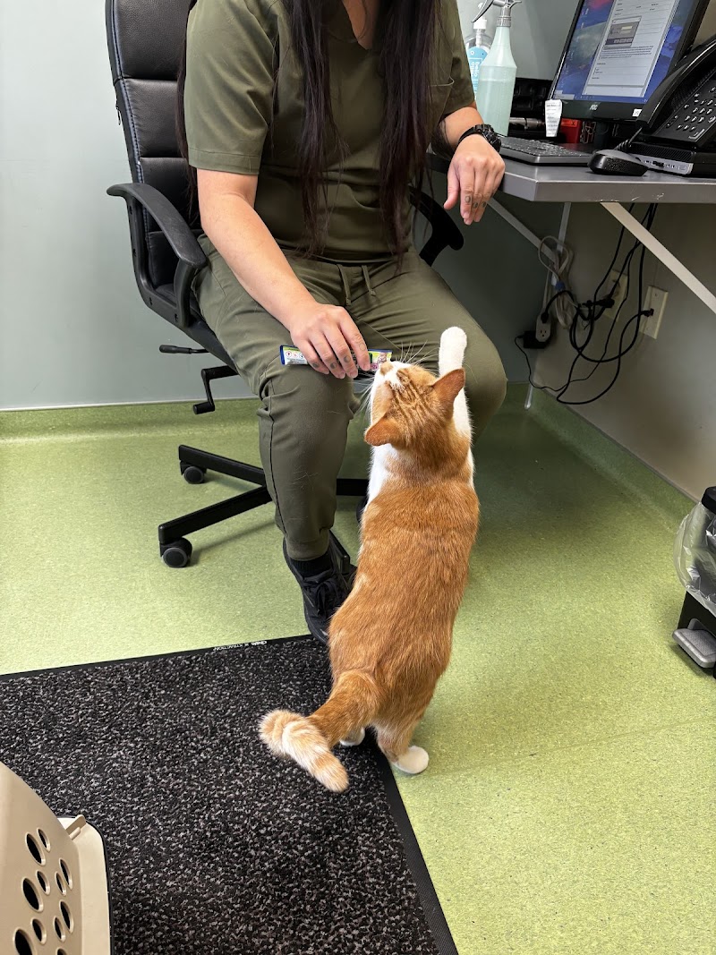 Lake Harriet Veterinary