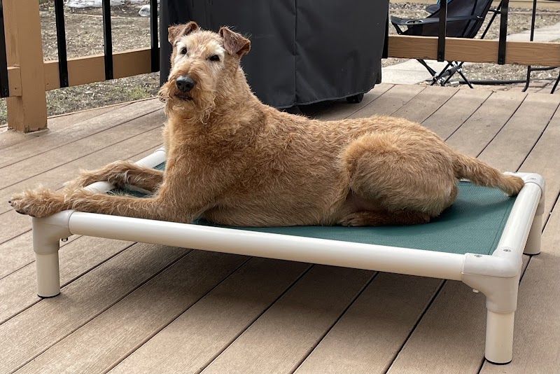Lake Harriet Veterinary