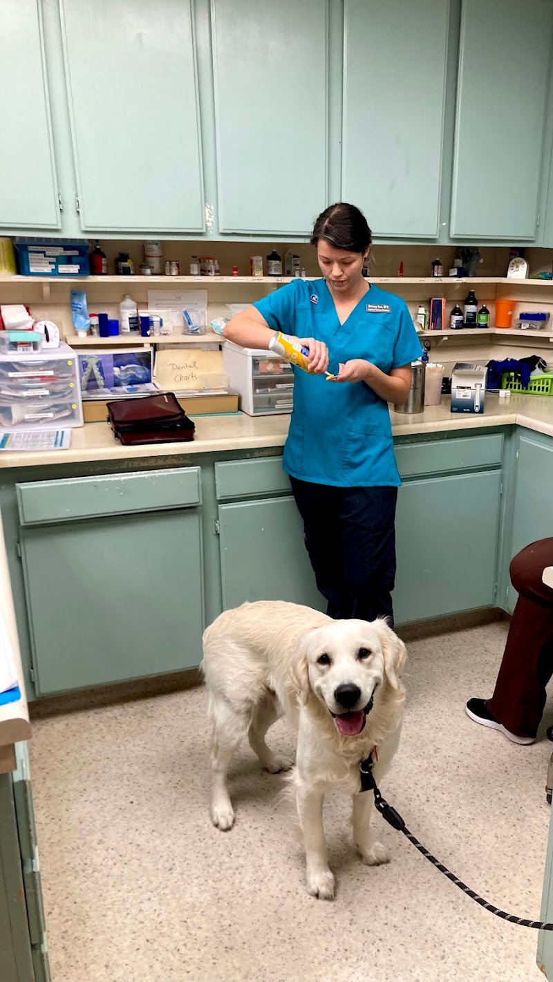 Tierrasanta Veterinary Hospital