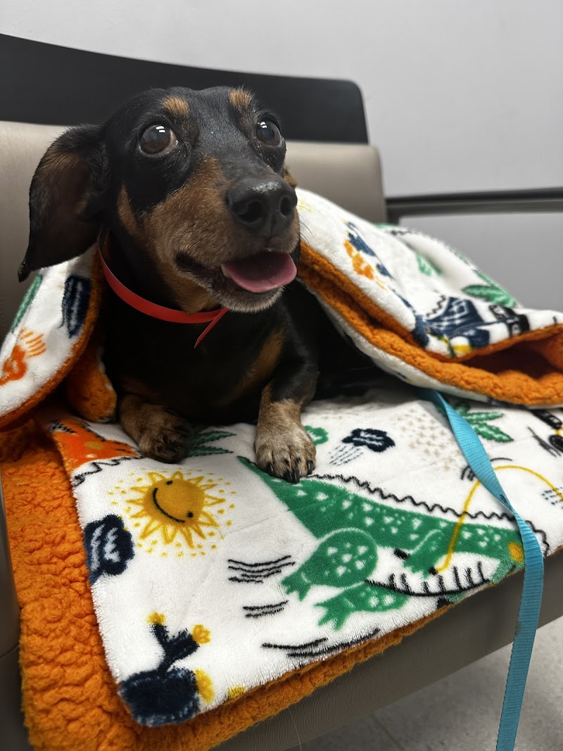 Animal Emergency & Specialty Center