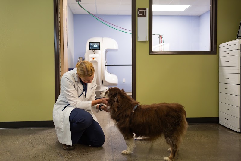 Sunstone Veterinary Specialists
