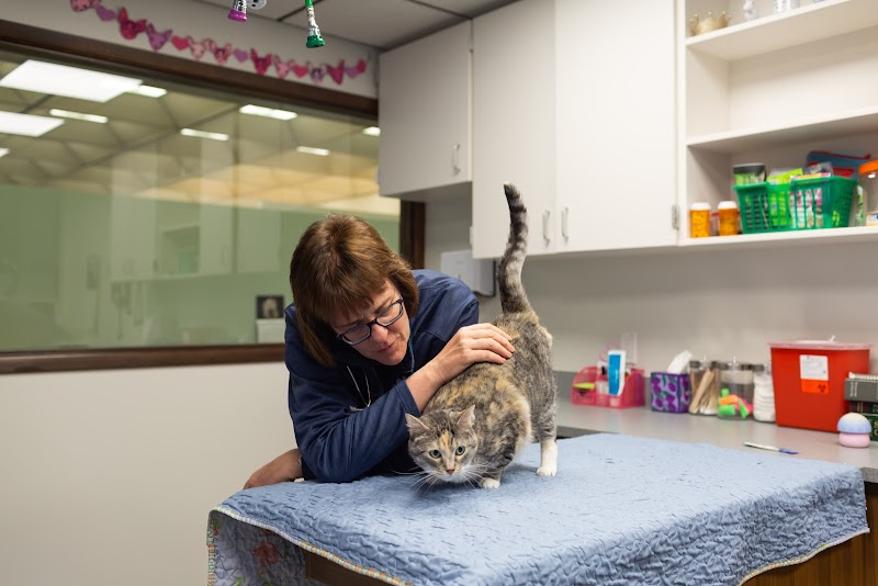 Sunstone Veterinary Specialists