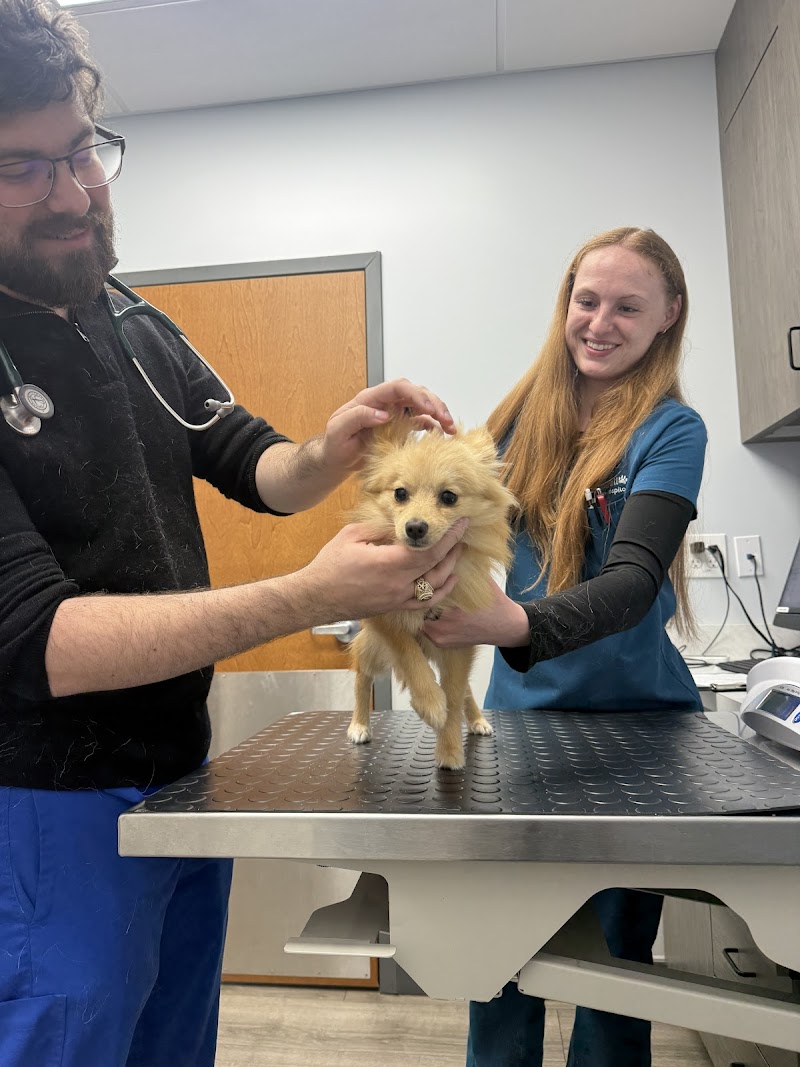 Livewell Animal Hospital of Austin