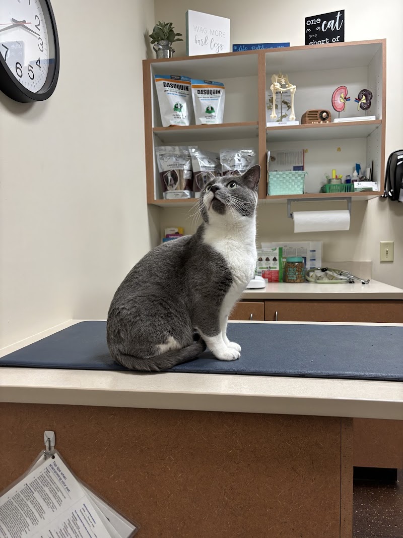 The Center for Animal Wellness