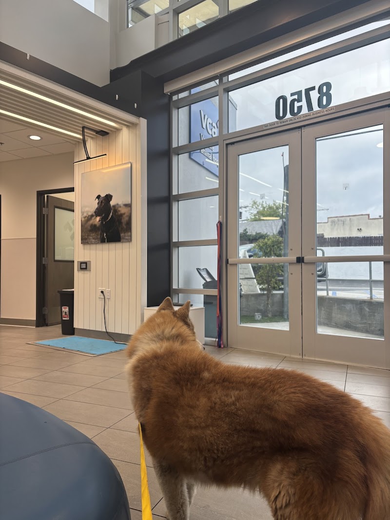 VCA Venture Animal Hospital