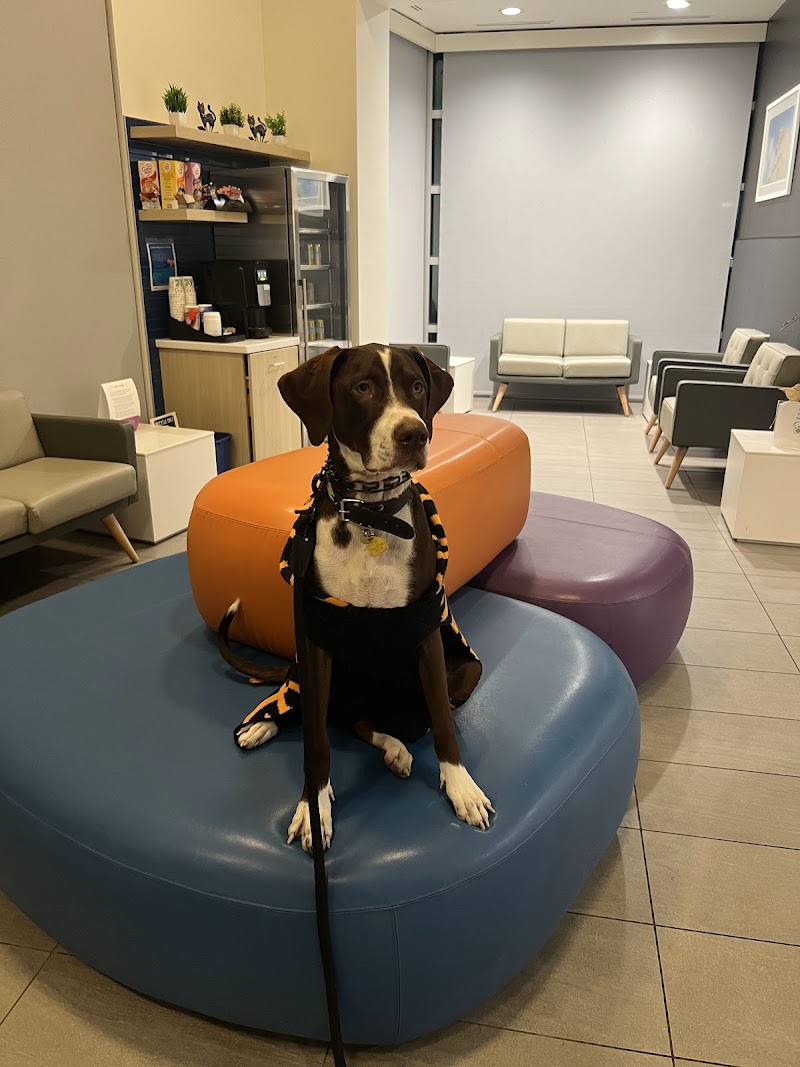 VCA Venture Animal Hospital